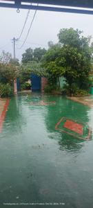 Image of 1000 Sq.ft 1 BHK Independent House for sale in Kothapet, Srikalahasti for Rs. 7999000