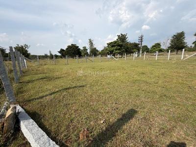 Residential Plot