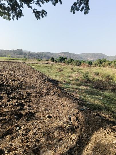 Mahamumbai Plots In Sarde Main Image 1