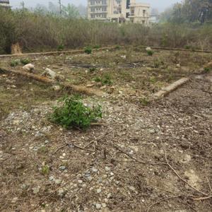 Image of 990 Sq.ft Residential Plot / Land for sale in Bidholi, Dehradun for Rs. 3240000