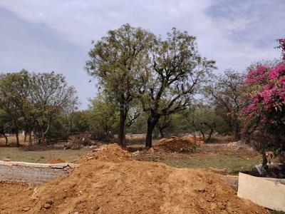 Image of 1271 Sq.ft Residential Plot / Land for sale in Asola, New Delhi for Rs. 55000000