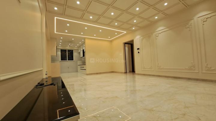 Stellar Symphony Main Image 1