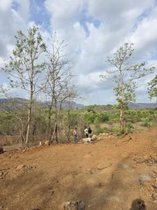 Agricultural Land