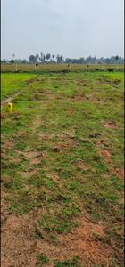 Residential Plot