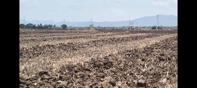 Image of 1089 Sq.ft Residential Plot / Land for sale in Sonkhar, Alibag for Rs. 330000