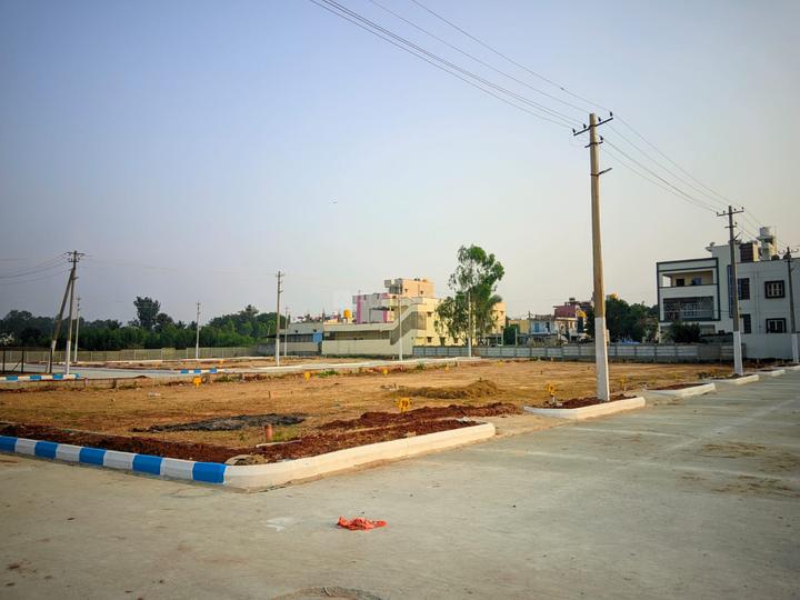 Erayaa Prime Rose Goldspire Main Image 1