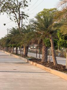 Image of 1152 Sq.ft Residential Plot / Land for sale in Torwa, Bilaspur for Rs. 1584000