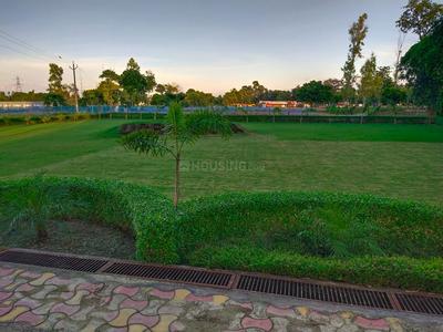 Residential Plot