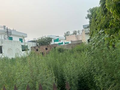 Residential Plot