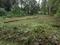 Thiruvalla Plot View 1