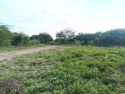 Puth Khurd Plot View 2