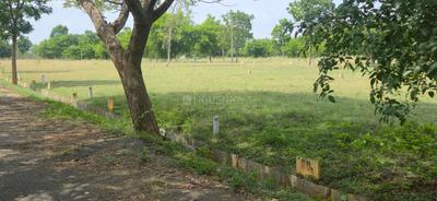 Image of 1200 Sq.ft Residential Plot / Land for sale in Attibele, Bengaluru for Rs. 2400000