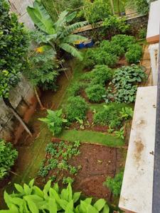 Balcony Image of 4680 Sq.ft 3 BHK Villa for sale in Paranjape Cascade, Bhugaon Pune for Rs. 37500000