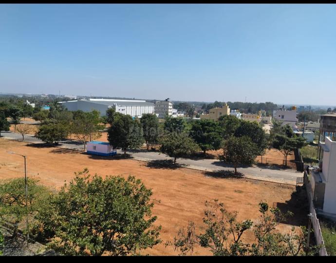 neo serene Main Image 1