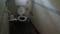 Evershine Gokul Building Bathroom One 1