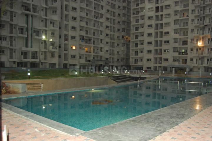 alpine eco Kitchen 1