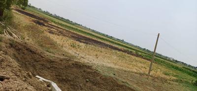 Image of 1200 Sq.ft Residential Plot / Land for sale in Danapur, Patna for Rs. 1440000