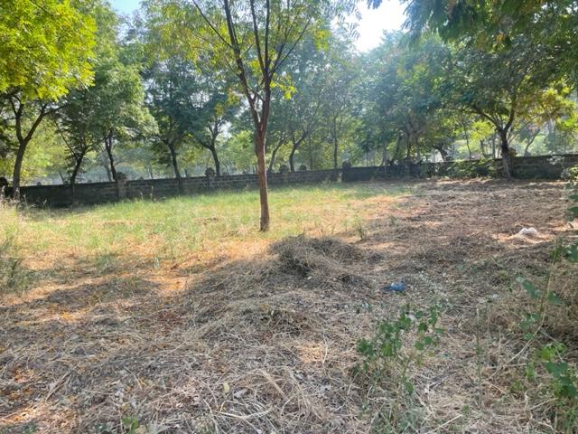 Shela Main Image 1