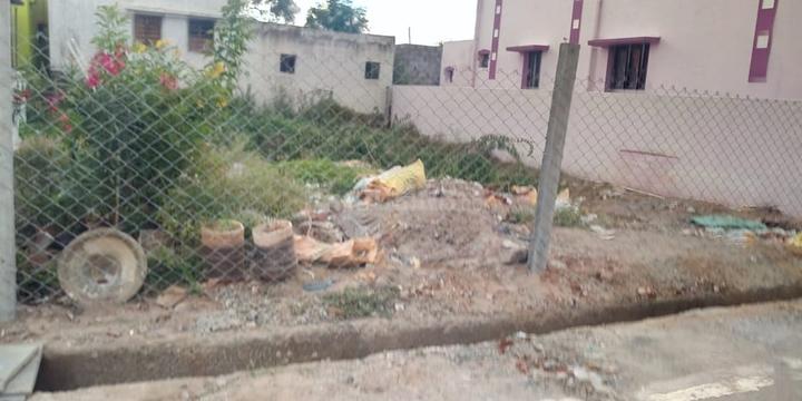 Palani Main Image 1