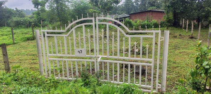 Boriwali Main Image 1