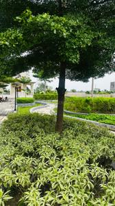 Image of 1000 Sq.ft Residential Plot / Land for sale in Shri Swastik Royale Avenue, Bhurkoni, Raipur for Rs. 2050000