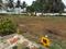 Kaggalipura Plot View 2