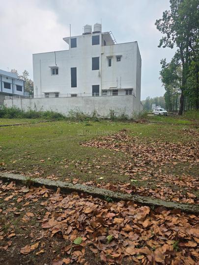 Dhaulas Main Image 1