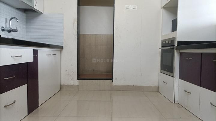 sanjay selenite Main Image 1