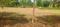 Vmrda project Plot View 2
