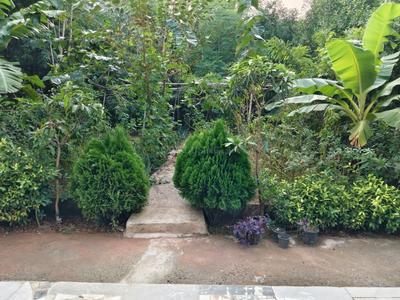 Image of 700 Sq.ft 1 RK Apartment / Flat for rent in Sector 53, Gurgaon for Rs. 25000