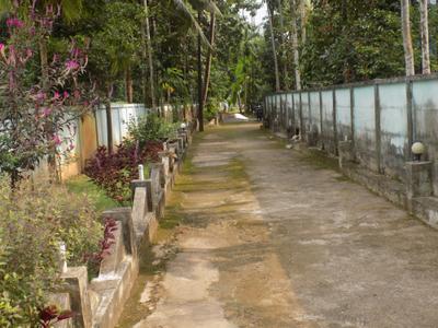 Image of 3200 Sq.ft 5 BHK Villa for sale in North Parvur, Kochi for Rs. 40000000