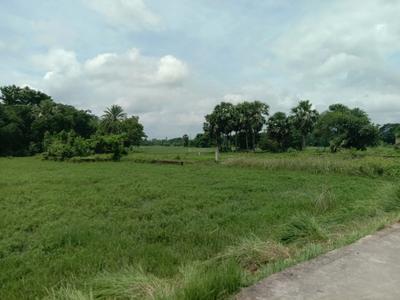 Residential plot Sonarpur Plot View 1