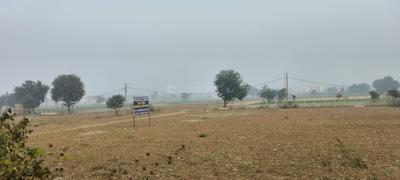 Agricultural Land