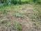 Mokai Vasti, Bavdhan Plot View 2