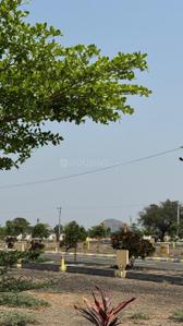 Image of 1800 Sq.ft Residential Plot / Land for sale in Nidumukkala, Guntur for Rs. 4000000