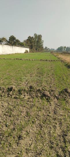 Mishripur Main Image 1