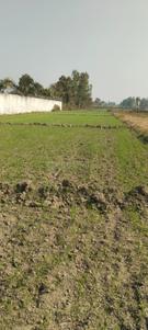 Mishripur Plot View 1