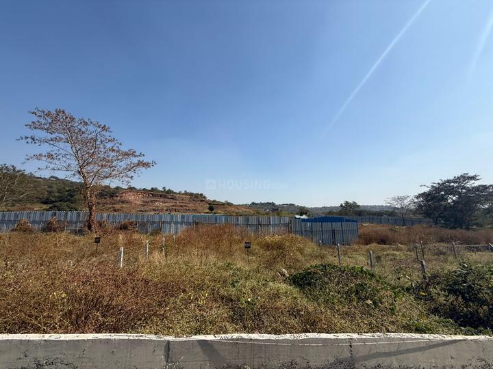 Paranjape Forest Trails Main Image 1