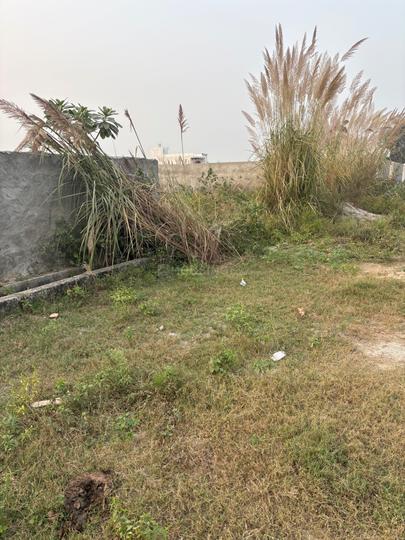 Paramount Golfforeste Premium Apartments Main Image 1