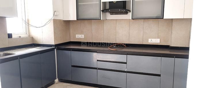 SS The Leaf Main Image 1