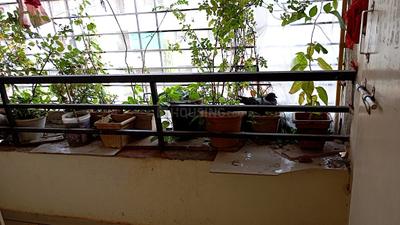 Living Room Image of 710 Sq.ft 1 BHK Apartment / Flat for sale in Chanod Colony Vapi for Rs. 1560000