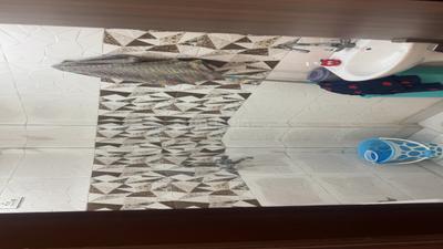 Image of 800 Sq.ft 3 BHK Apartment / Flat for sale in Sector 16A Dwarka, New Delhi for Rs. 5000000