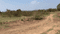 Hesal Plot View 2