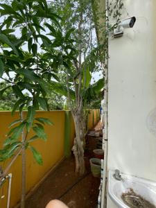 Balcony Image of 1718 Sq.ft 3 BHK Villa for rent in Lancor Town And Country, Ayakolathur Chennai for Rs. 25000