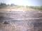 Punade Main Image 1