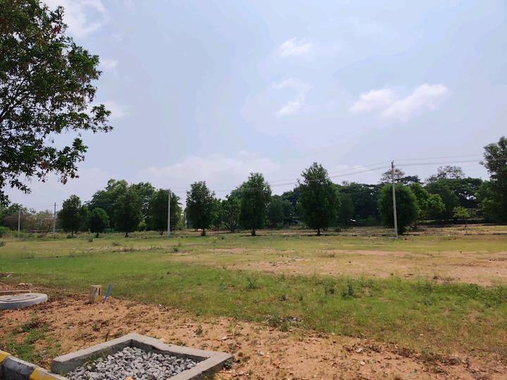 Amangal Main Image 1