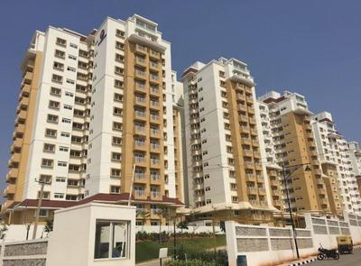 3.5 BHK Flat