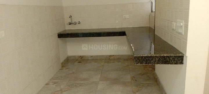 Divyansh Onyx Main Image 1