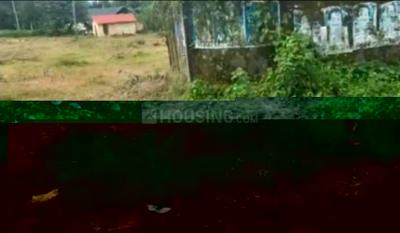 Image of 10000 Sq.ft Residential Plot / Land for sale in Kanakkary, Kottayam for Rs. 250000