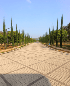 Image of 1810 Sq.ft Residential Plot / Land for sale in Kaggalahalli, Bengaluru for Rs. 8959500
